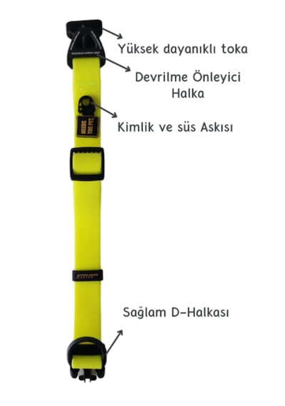 Interlaken Su Geçirmez Sağlam Sarı Köpek Boyun Tasması L Beden Sarı