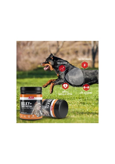 Bulky + Power Protein Köpekler İçin Kas Kütlesi Geliştirici Besin Takviyesi 368 Gr. X 2 Adet