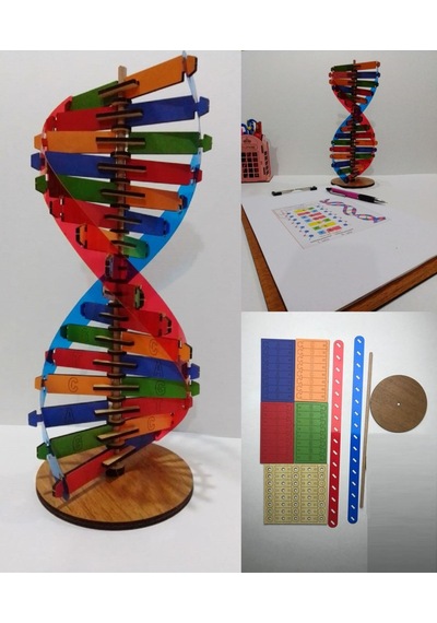 Modeli Eğitici Ahşap Seti 30cm