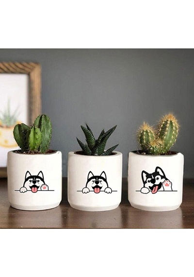 Husky Köpekcik Desenli Saksı Üçlü Set- Küçük Boy Sukulent Saksısı