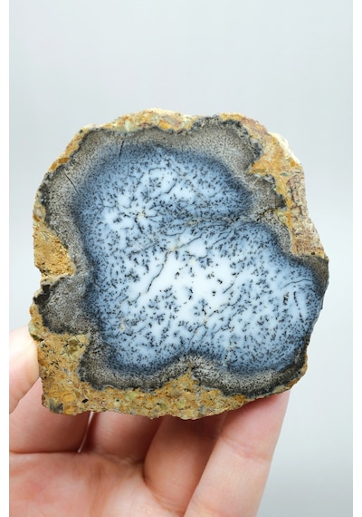 Merlinite Dendritik Opal - Mavi Ve Beyaz Dendritik Opal Çift