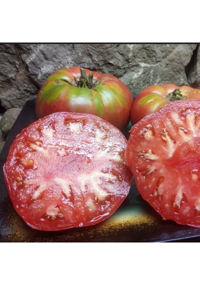 Olive Hill Etli Domates Tohumu 15 Tohum