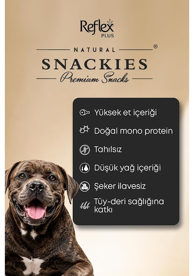 Plus Snackies Natural Füme Somon Etli Şeritler Premium Köpek Ödül Maması 170 G