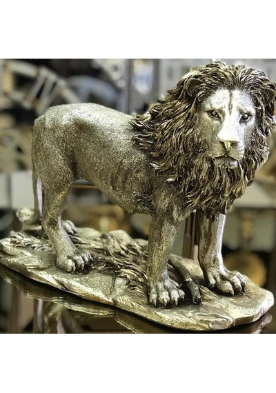 Aslan Biblo Hf248-2