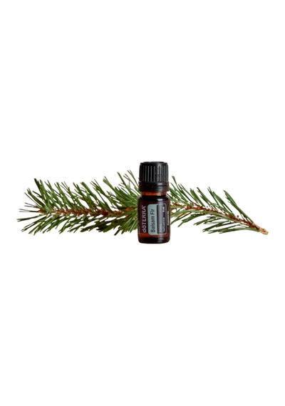 Balsam Fir 5ml Oil - Balsam Köknarı