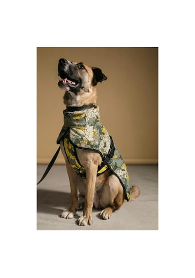 Adonis Büyük Irk Köpekler İçin Yağmurluk, 9-55 Kg Arası Uygun Açık Gri