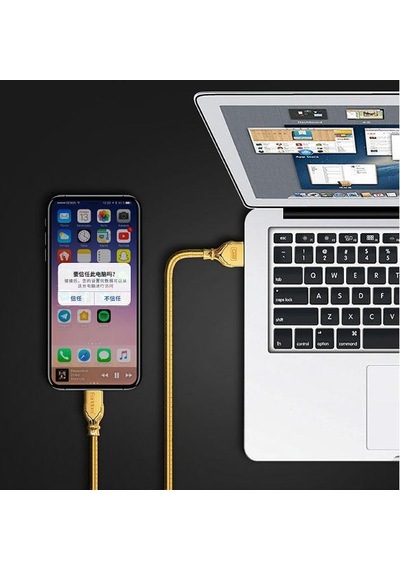 Earldom Android Telefonlar İçin 3a Data Ve Zırhlı Hızlı Şarj Kablo Gold Metal