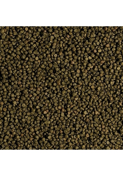 Tropical Koi Wheat Germ Garlic Pellet Size S 1000 Ml 320 Gr Kutu Yem