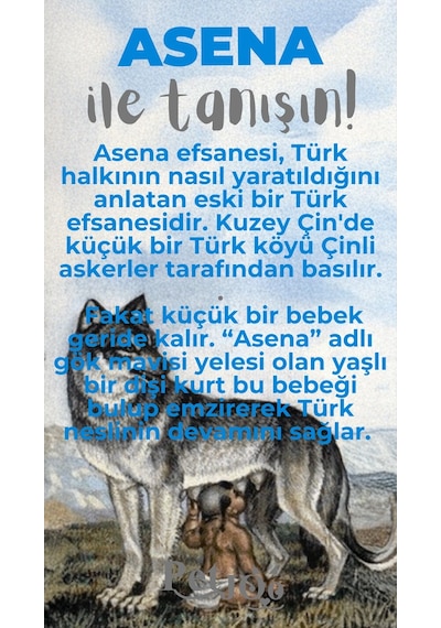Petjoo 25.Asena Gri-Mavi Qr'lı Köpek Künyesi