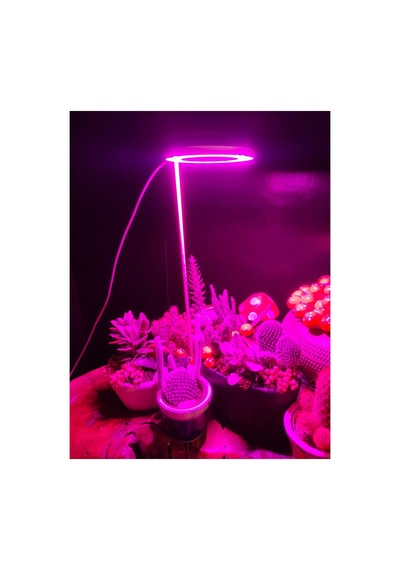 Bitki Led Lamba 5v Usb Fullspectrum Bitki Yetiştirme - Bitki Geliştirme Lambası Halka 8w