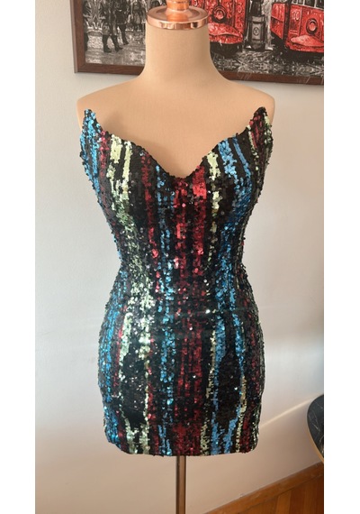 Chica Rosa Fashion Midnight Pullu Parti Elbisesi Çok Renkli