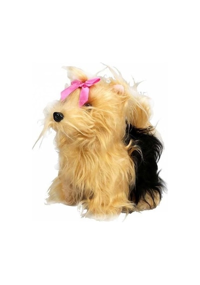 Sunman Sevimli Köpek Terrier