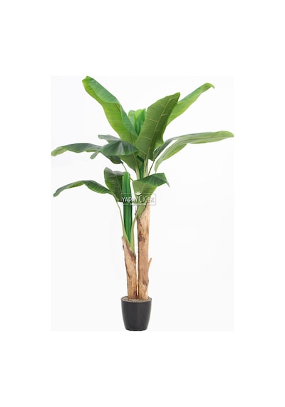 Yapay Muz Ağacı 160cm Saksılı