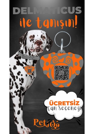 Petjoo 28.Delmaticus Turuncu-Gri Qr'lı Köpek Künyesi