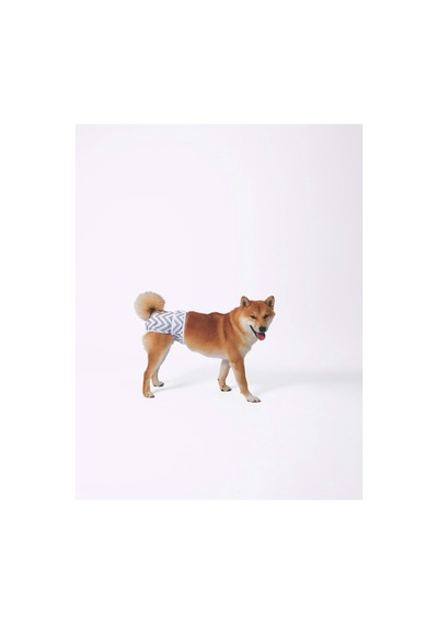 M-pets Dişi Köpekler İçin Yıkanabilir Külot L