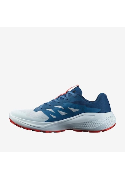 Salomon Alphaglide Erkek Koşu Ayakkabısı Çok Renkli