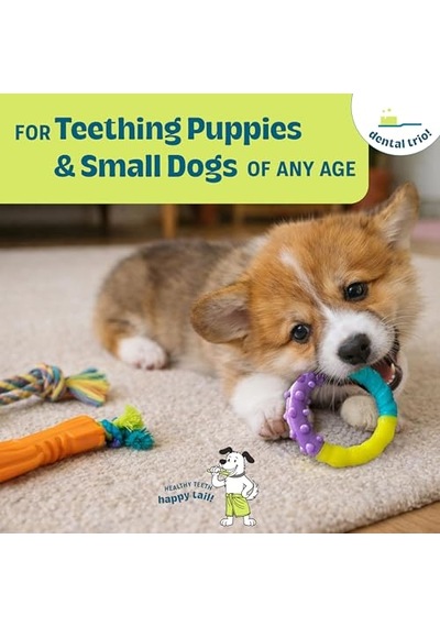 Petstages Küçük Köpekler Ve Diş Çıkarma Yavruları İçin Orka Diş Çiğneme Oyuncakları - 3'lü Paket