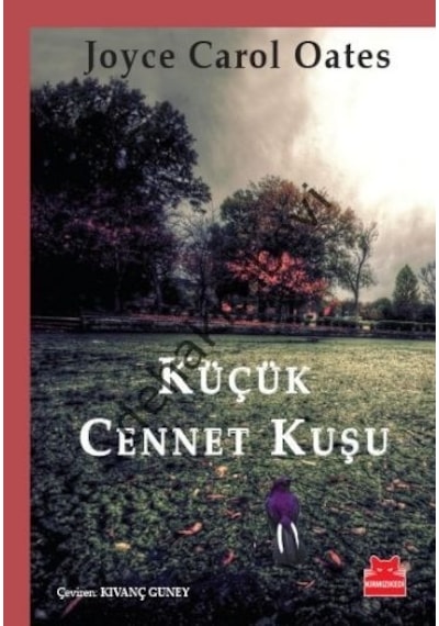 Küçük Cennet Kuşu Joyce Carol Oates