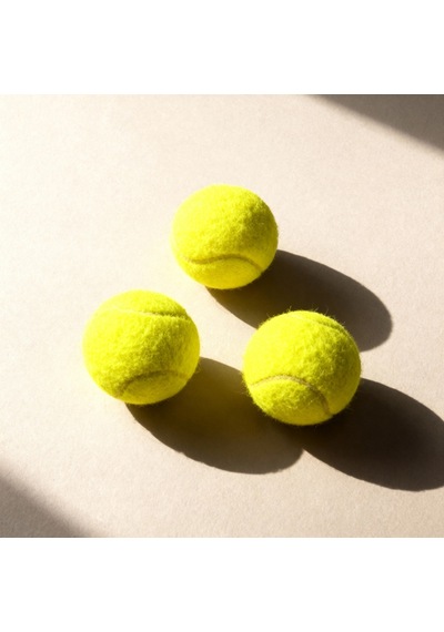 Runaway Köpek Tenis Topu 3'lü Set Oyun Ve Eğitim