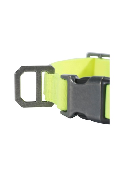 Carhartt Naylon Ördek Köpek Yaka, Tamamen Ayarlanabilir Dayanıklı 2 Katlı Cordura Naylon Kanvas Tasmalar, Köpekler Genel