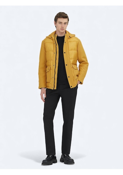 Kip Sarı Regular Fit Kapüşonlu Casual Dokuma Mont Sarı