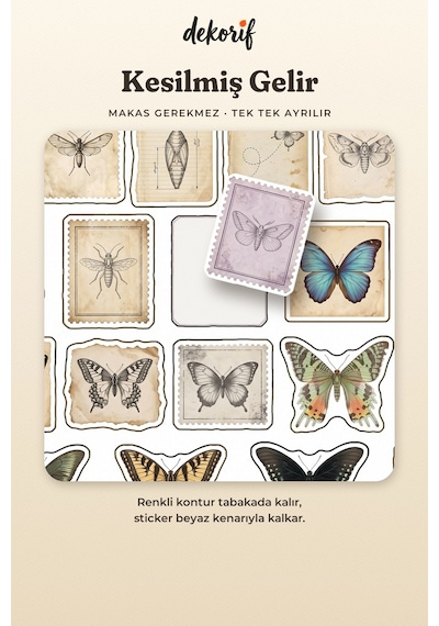 Kelebek Ve Güve Sticker Seti 100 Adet - Doğa Tarihi Antika Böcek Vintage Ajanda Journal Çıkartma Çok Renkli