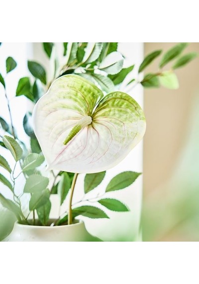Ikea Smycka Yapay Çiçek, Beyaz, 66 Cm, İç-dış Mekan Anthurium