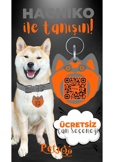 Petjoo 19.Hachiko Turuncu-Gri Qr'lı Köpek Künyesi