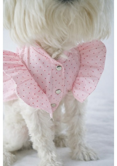 Puantiyeli Kedi Köpek Poplin Elbise