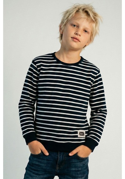 Breeze Erkek Çocuk Sweatshirt Arma Detaylı Çizgili 4-8 Yaş, Lacivert Lacivert