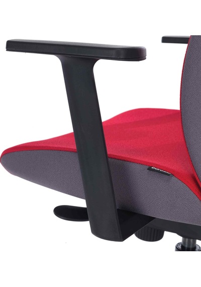 Burosit Bürosit Ori 9 Başlıklı Alüminyum Yönetici Koltuğu