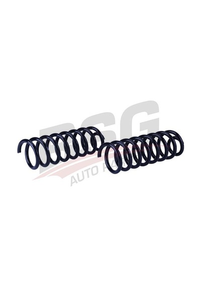 Bsg Helezon Yayı Arka - Sandero Stepway 04-