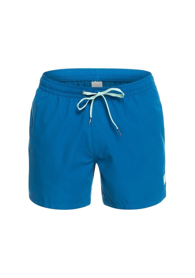 Quiksilver Everyday 15'' Erkek Yüzme Şortu 001