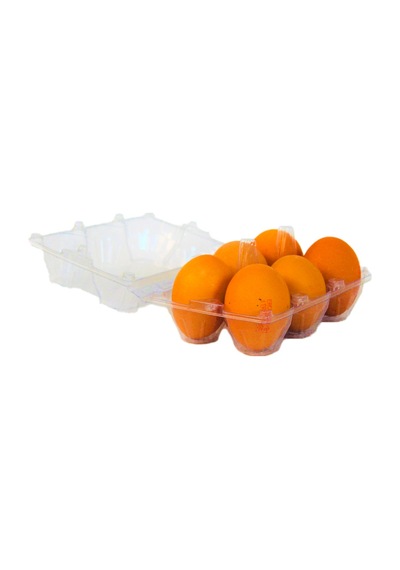 Plastik Yumurta Viyolü Şeffaf 6Lı 100 Adet