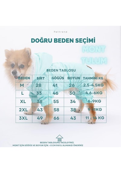 Pettrend Gri Kürklü Tulum Küçük Irk Köpek Yağmurluğu