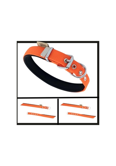 Uyguna-yakala Turuncu 2.0 35-40 Cm Dokuma Boyun Tasması-sma.332