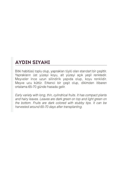 AGRodal Tarım Ata Tohumu Yöresel Patlıcan Aydın Siyahı 100 Adet Tohum