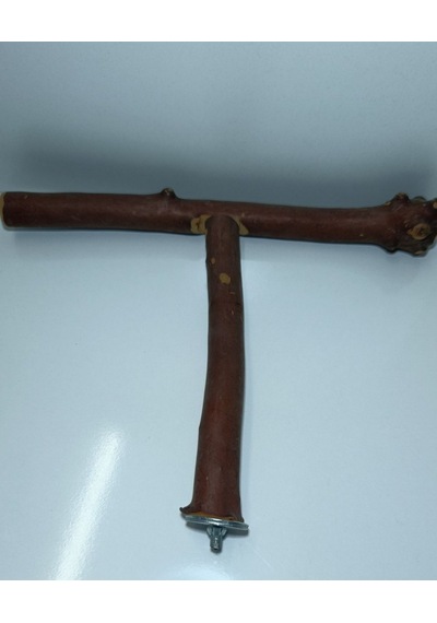Papağan Ahşap T Tünek 35 26 Cm