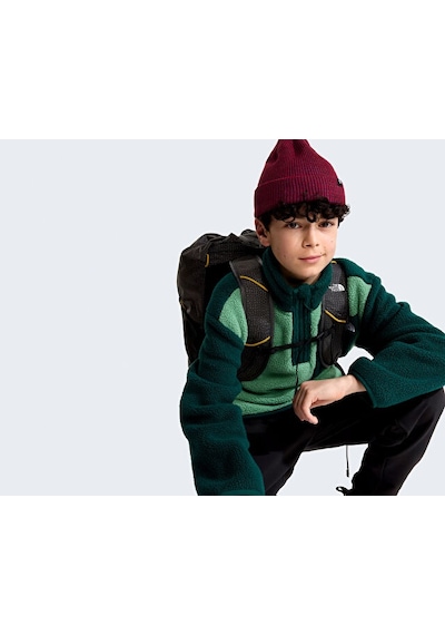 The North Face Teen Yumıorı 1/4 Zıp Jacket Çocuk Outdoor Çeyrek Fermuarlı Polar Üst Nf0a8j61jzx1 Mavi