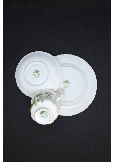 Trillium Bone China Porselen Duble Kahve Fincanı Ve Tabakları 3 Parça 120 Ml Yeşil