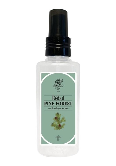 Rebul Aqua-ıce-dark Spice-pine Forest Plastik Şişe 125ml Set
