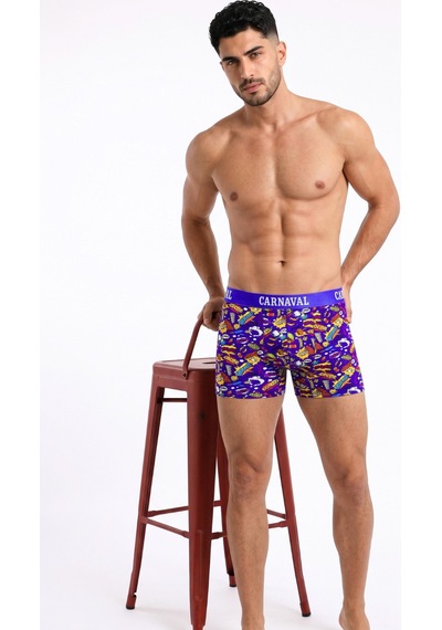 Carnaval Socks Çizgi Roman Desenli Erkek Boxer Pamuklu Likralı Parlak Lastikli Kutulu Çok Renkli Çoklu