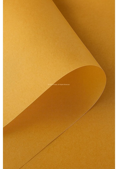 Busstier Fırınlanabilir Kendinden Yağlı Pişirme Kağıdı 30x40 Cm Tek Kullanımlık Pratik Fırın Kağıdı 5 Diğer