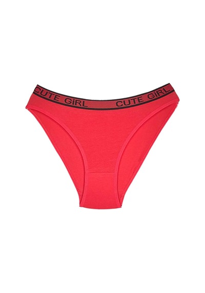 10 Adet Beli Yazılı Pamuklu Kalın Lastik Kadın Slip Külot Çok Renkli