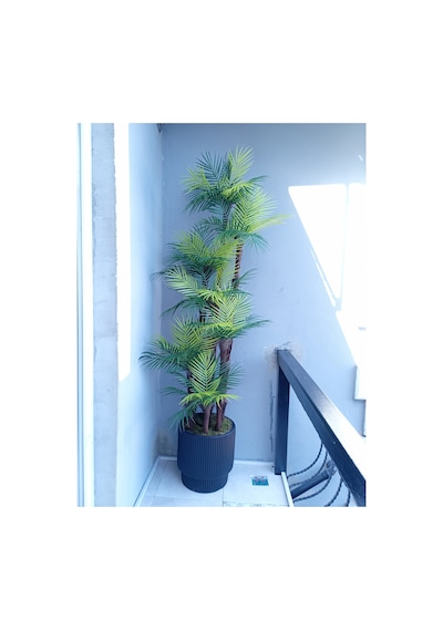 Premium Areka Palmiye Yapay Ağaç 210 Cm 7 Gövdeli 63 Yapraklı Antrasit Saksılı Salon Dekoru Gri