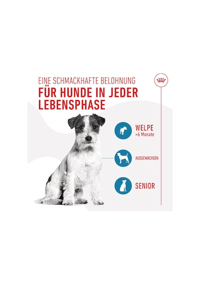 Royal Canın Training Treats Köpek Eğitim Ödülü 110 G