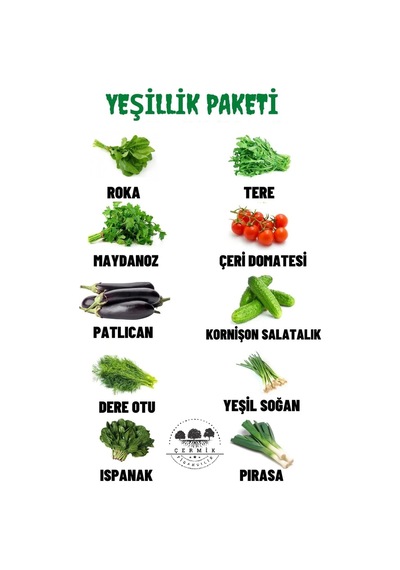 10 Çeşit Karışık Tohum Paketi 2