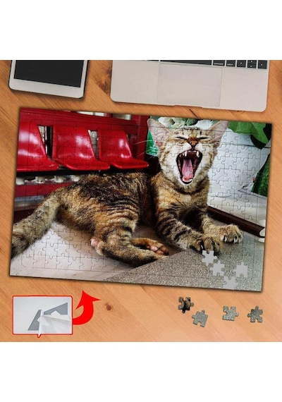 Esneyen Kedi, Kafe, Hayvan 240 Parça Puzzle Yapboz Tablo-pf298