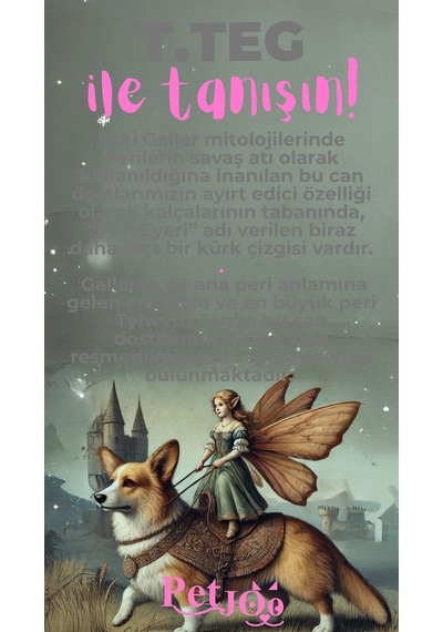 Petjoo 15.T.Teg Pembe-Gri Qr'lı Köpek Künyesi