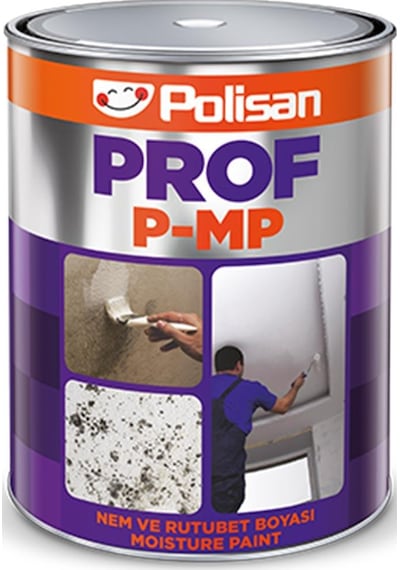 Polisan Prof P-MP Nem ve Rutubet Boyası 2,5 kg.